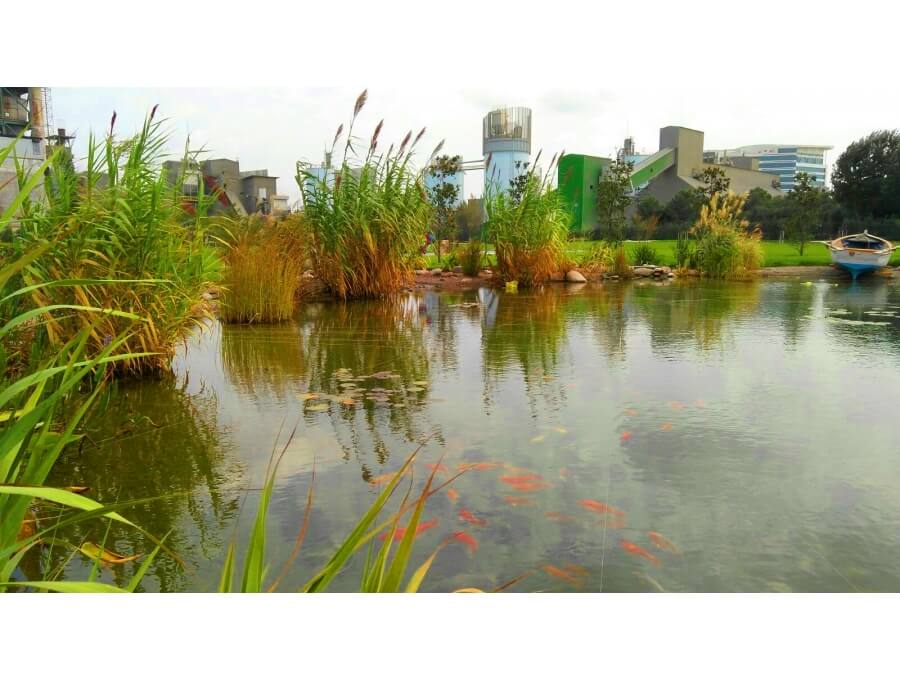 Aquacalix Peyzaj Biyolojik gölet havuz kurulumları, tasarımsal behçe düzenlemeleri, Yapay Şelale tasarım ve kurulumları, Süs havuzu yapımı ve kurulumu konus