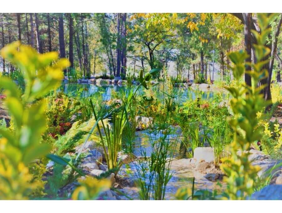 Aquacalix Peyzaj Biyolojik gölet havuz kurulumları, tasarımsal behçe düzenlemeleri, Yapay Şelale tasarım ve kurulumları, Süs havuzu yapımı ve kurulumu konus