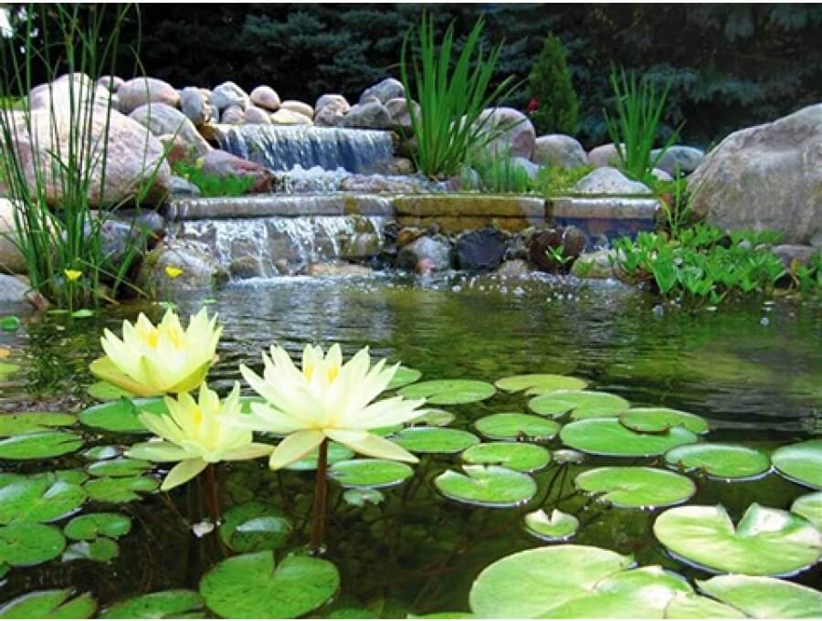 Aquacalix Peyzaj Biyolojik gölet havuz kurulumları, tasarımsal behçe düzenlemeleri, Yapay Şelale tasarım ve kurulumları, Süs havuzu yapımı ve kurulumu konus