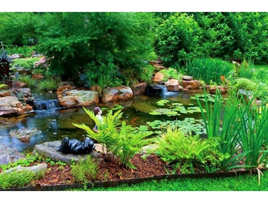 Aquacalix Peyzaj Biyolojik gölet havuz kurulumları, tasarımsal behçe düzenlemeleri, Yapay Şelale tasarım ve kurulumları, Süs havuzu yapımı ve kurulumu konus