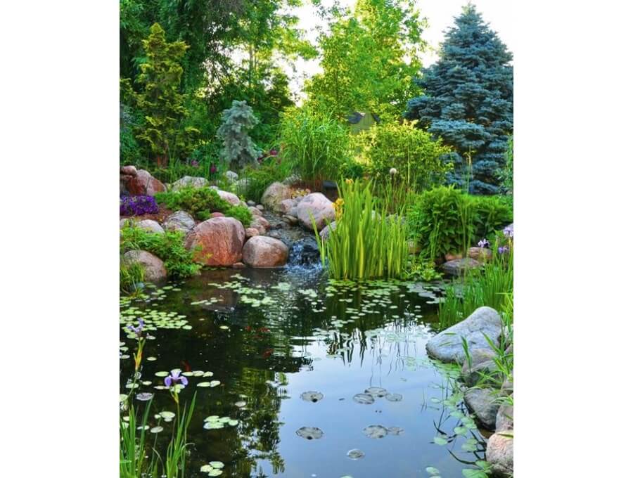 Aquacalix Peyzaj Biyolojik gölet havuz kurulumları, tasarımsal behçe düzenlemeleri, Yapay Şelale tasarım ve kurulumları, Süs havuzu yapımı ve kurulumu konus