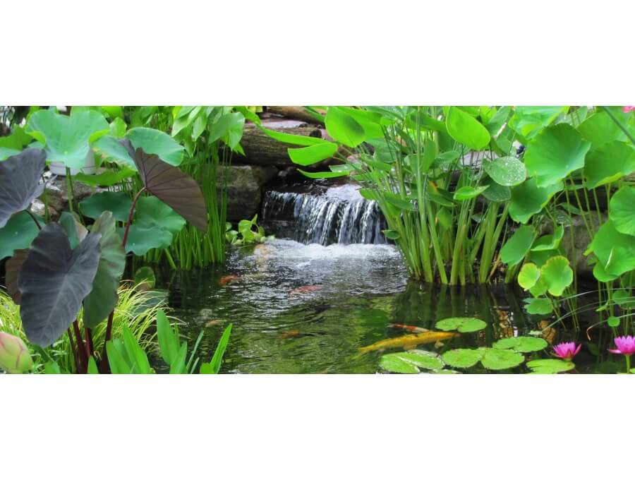 Aquacalix Peyzaj Biyolojik gölet havuz kurulumları, tasarımsal behçe düzenlemeleri, Yapay Şelale tasarım ve kurulumları, Süs havuzu yapımı ve kurulumu konus