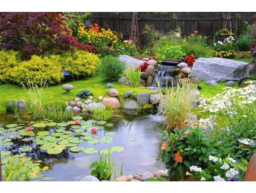 Aquacalix Peyzaj Biyolojik gölet havuz kurulumları, tasarımsal behçe düzenlemeleri, Yapay Şelale tasarım ve kurulumları, Süs havuzu yapımı ve kurulumu konus