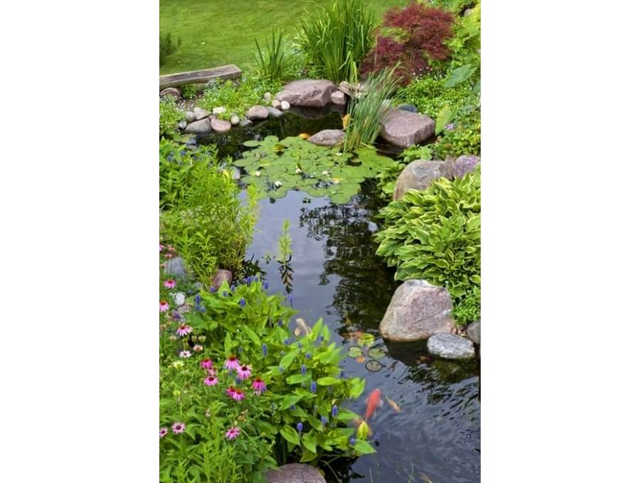 Aquacalix Peyzaj Biyolojik gölet havuz kurulumları, tasarımsal behçe düzenlemeleri, Yapay Şelale tasarım ve kurulumları, Süs havuzu yapımı ve kurulumu konus