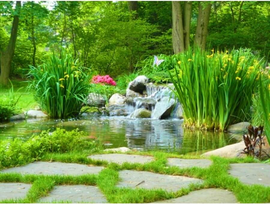 Aquacalix Peyzaj Biyolojik gölet havuz kurulumları, tasarımsal behçe düzenlemeleri, Yapay Şelale tasarım ve kurulumları, Süs havuzu yapımı ve kurulumu konus