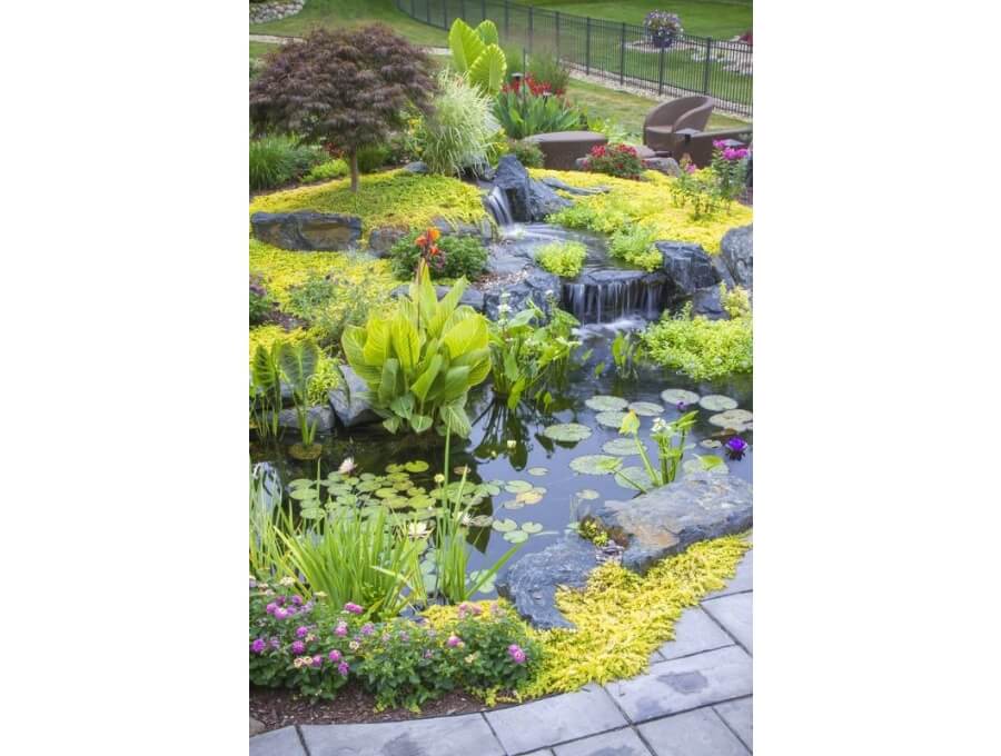 Aquacalix Peyzaj Biyolojik gölet havuz kurulumları, tasarımsal behçe düzenlemeleri, Yapay Şelale tasarım ve kurulumları, Süs havuzu yapımı ve kurulumu konus