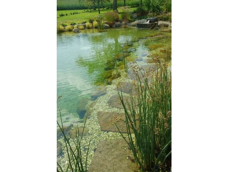 Aquacalix Peyzaj Biyolojik gölet havuz kurulumları, tasarımsal behçe düzenlemeleri, Yapay Şelale tasarım ve kurulumları, Süs havuzu yapımı ve kurulumu konus