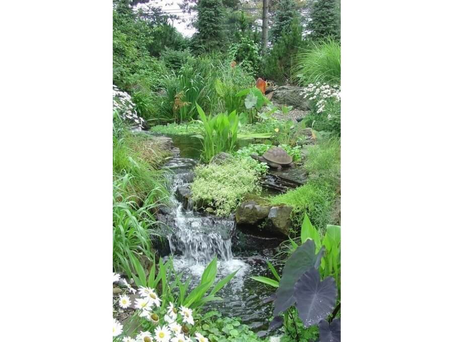 Aquacalix Peyzaj Biyolojik gölet havuz kurulumları, tasarımsal behçe düzenlemeleri, Yapay Şelale tasarım ve kurulumları, Süs havuzu yapımı ve kurulumu konus