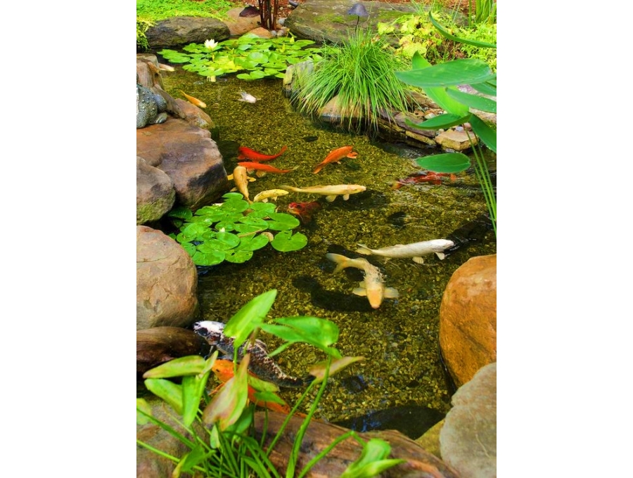 Aquacalix Peyzaj Biyolojik gölet havuz kurulumları, tasarımsal behçe düzenlemeleri, Yapay Şelale tasarım ve kurulumları, Süs havuzu yapımı ve kurulumu konus