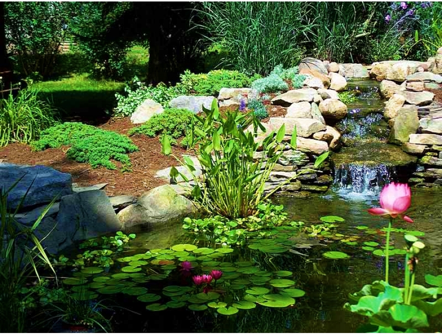 Aquacalix Peyzaj Biyolojik gölet havuz kurulumları, tasarımsal behçe düzenlemeleri, Yapay Şelale tasarım ve kurulumları, Süs havuzu yapımı ve kurulumu konus