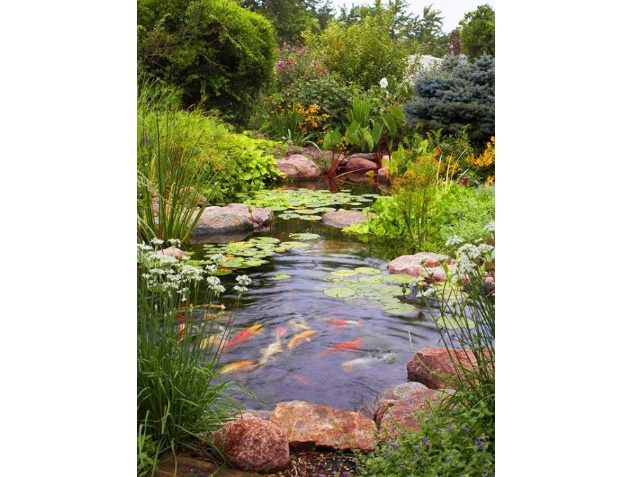 Aquacalix Peyzaj Biyolojik gölet havuz kurulumları, tasarımsal behçe düzenlemeleri, Yapay Şelale tasarım ve kurulumları, Süs havuzu yapımı ve kurulumu konus