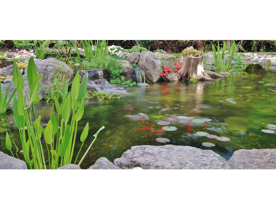 Aquacalix Peyzaj Biyolojik gölet havuz kurulumları, tasarımsal behçe düzenlemeleri, Yapay Şelale tasarım ve kurulumları, Süs havuzu yapımı ve kurulumu konus