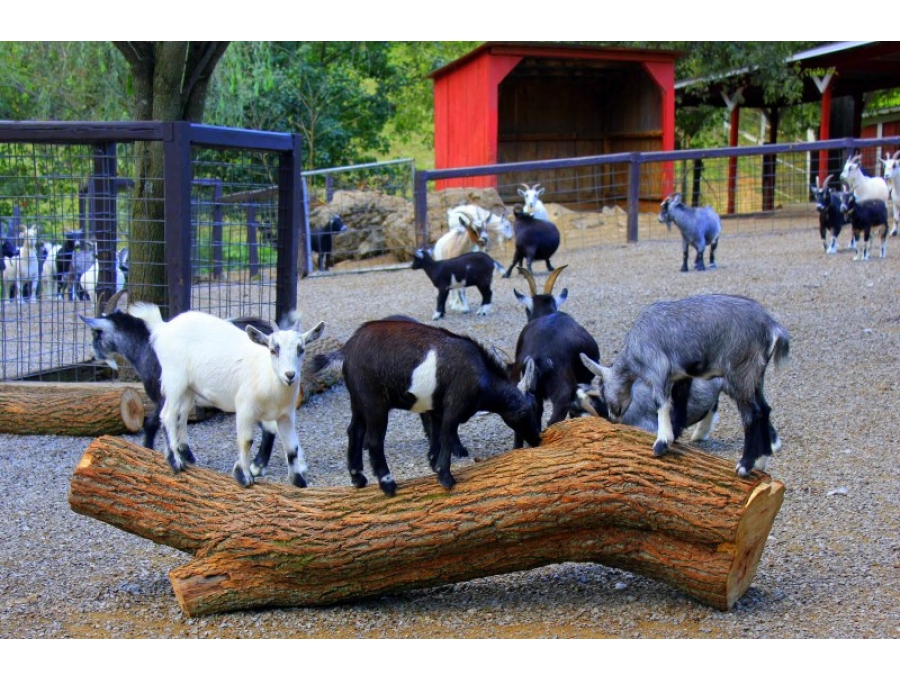 Uygulamalar, Uygulamalar, Uygulamalar, Uygulamalar, Uygulamalar, Uygulamalar, Uygulamalar, Uygulamalar, Uygulamalar, Uygulamalar, Uygulamalar, Uygulamalar,