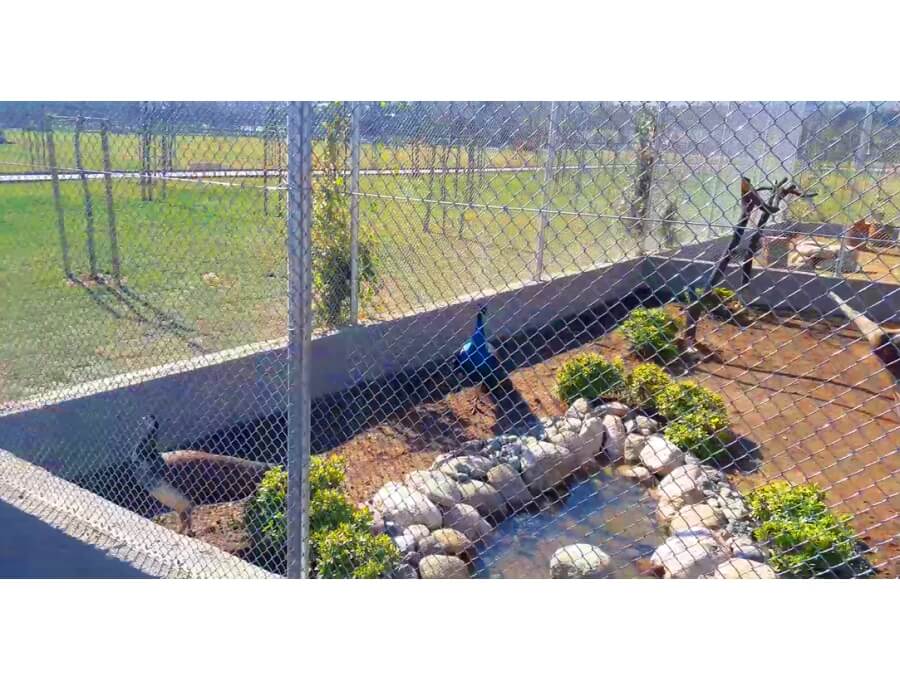 Aquacalix Peyzaj Biyolojik gölet havuz kurulumları, tasarımsal behçe düzenlemeleri, Yapay Şelale tasarım ve kurulumları, Süs havuzu yapımı ve kurulumu konus