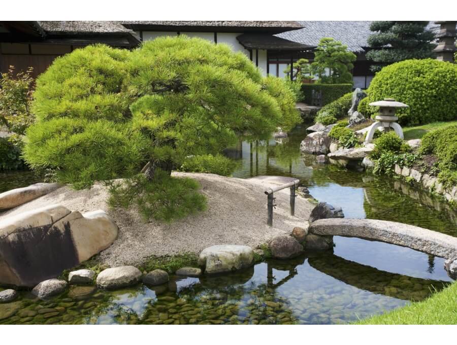 Aquacalix Peyzaj Biyolojik gölet havuz kurulumları, tasarımsal behçe düzenlemeleri, Yapay Şelale tasarım ve kurulumları, Süs havuzu yapımı ve kurulumu konus