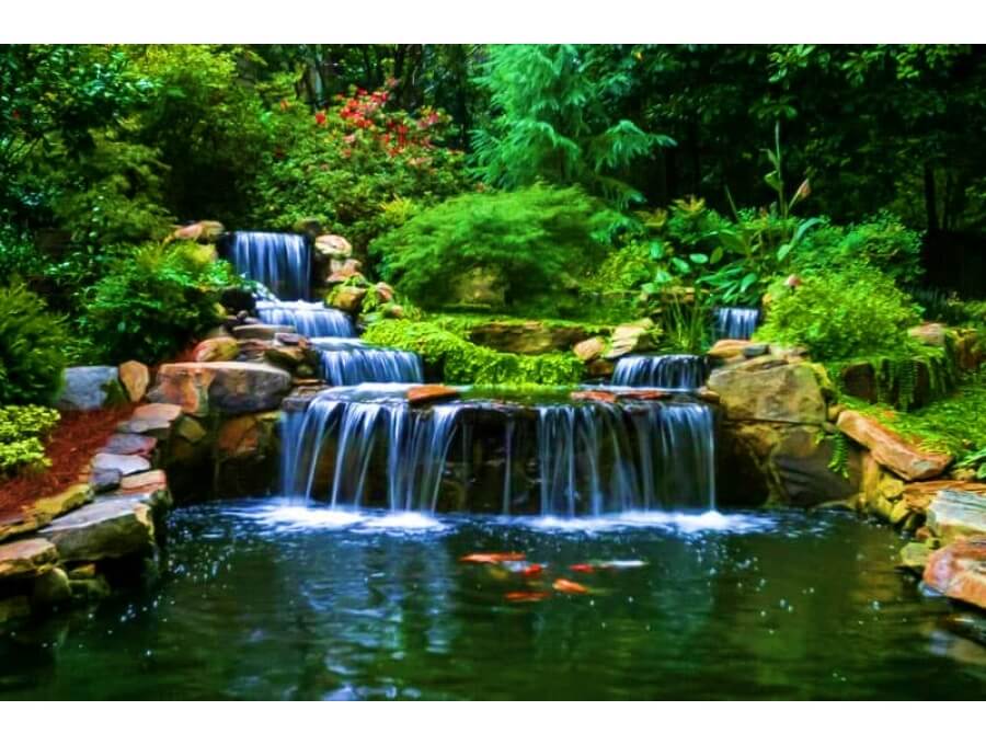 Aquacalix Peyzaj Biyolojik gölet havuz kurulumları, tasarımsal behçe düzenlemeleri, Yapay Şelale tasarım ve kurulumları, Süs havuzu yapımı ve kurulumu konus