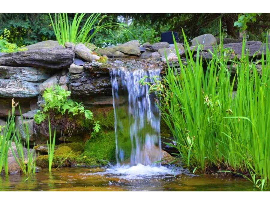 Aquacalix Peyzaj Biyolojik gölet havuz kurulumları, tasarımsal behçe düzenlemeleri, Yapay Şelale tasarım ve kurulumları, Süs havuzu yapımı ve kurulumu konus