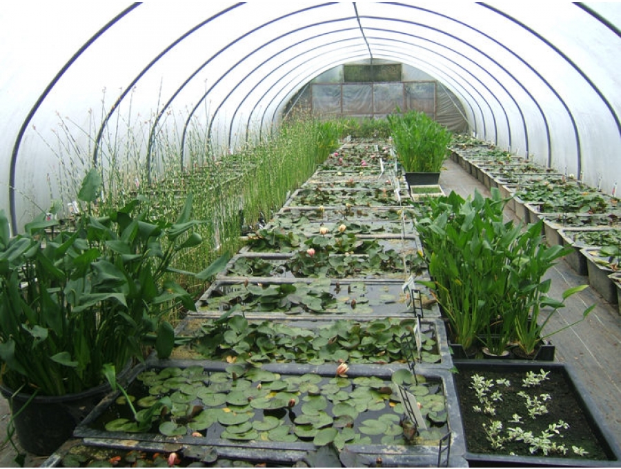 Aquacalix Peyzaj Biyolojik gölet havuz kurulumları, tasarımsal behçe düzenlemeleri, Yapay Şelale tasarım ve kurulumları, Süs havuzu yapımı ve kurulumu konus