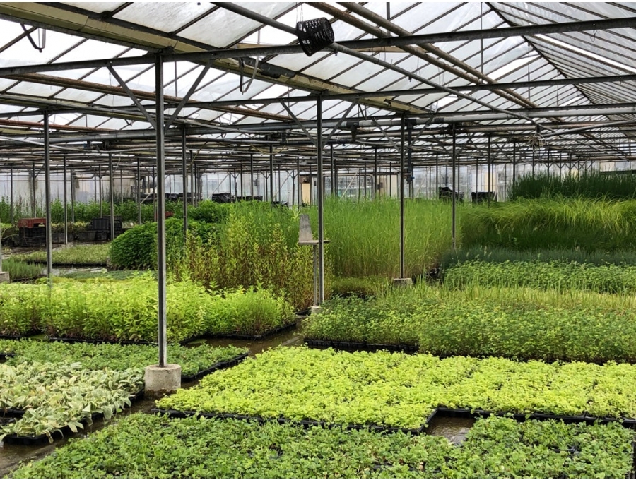 Aquacalix Peyzaj Biyolojik gölet havuz kurulumları, tasarımsal behçe düzenlemeleri, Yapay Şelale tasarım ve kurulumları, Süs havuzu yapımı ve kurulumu konus