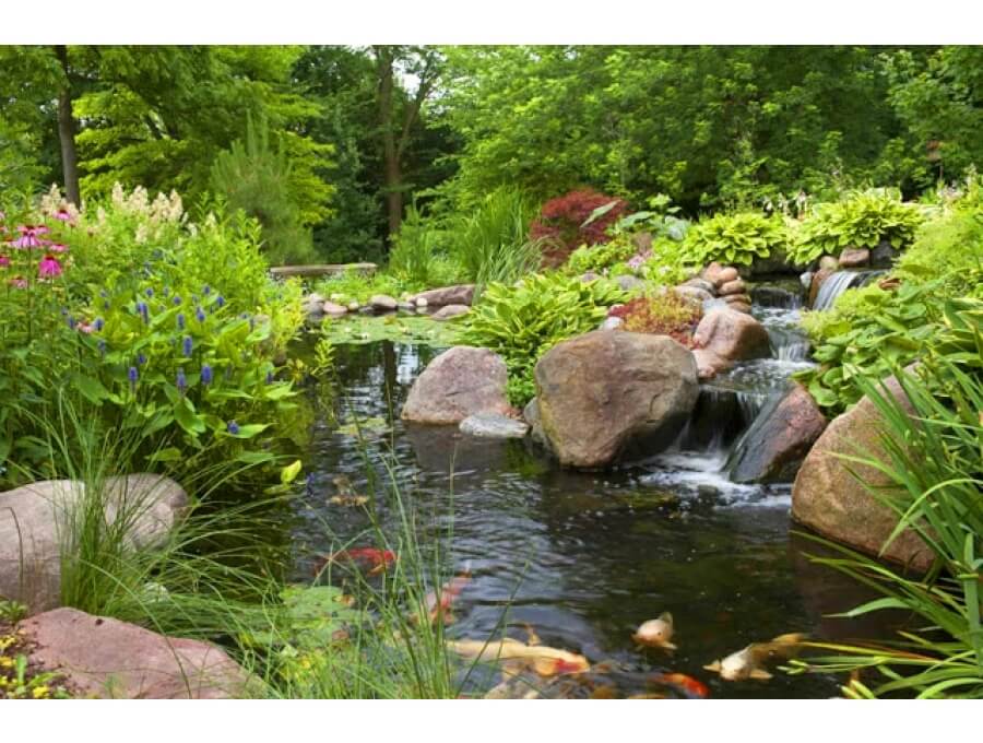 Aquacalix Peyzaj Biyolojik gölet havuz kurulumları, tasarımsal behçe düzenlemeleri, Yapay Şelale tasarım ve kurulumları, Süs havuzu yapımı ve kurulumu konus