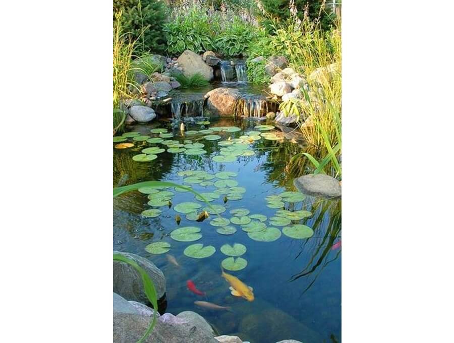 Aquacalix Peyzaj Biyolojik gölet havuz kurulumları, tasarımsal behçe düzenlemeleri, Yapay Şelale tasarım ve kurulumları, Süs havuzu yapımı ve kurulumu konus