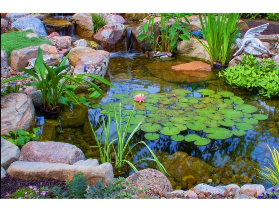 Aquacalix Peyzaj Biyolojik gölet havuz kurulumları, tasarımsal behçe düzenlemeleri, Yapay Şelale tasarım ve kurulumları, Süs havuzu yapımı ve kurulumu konus